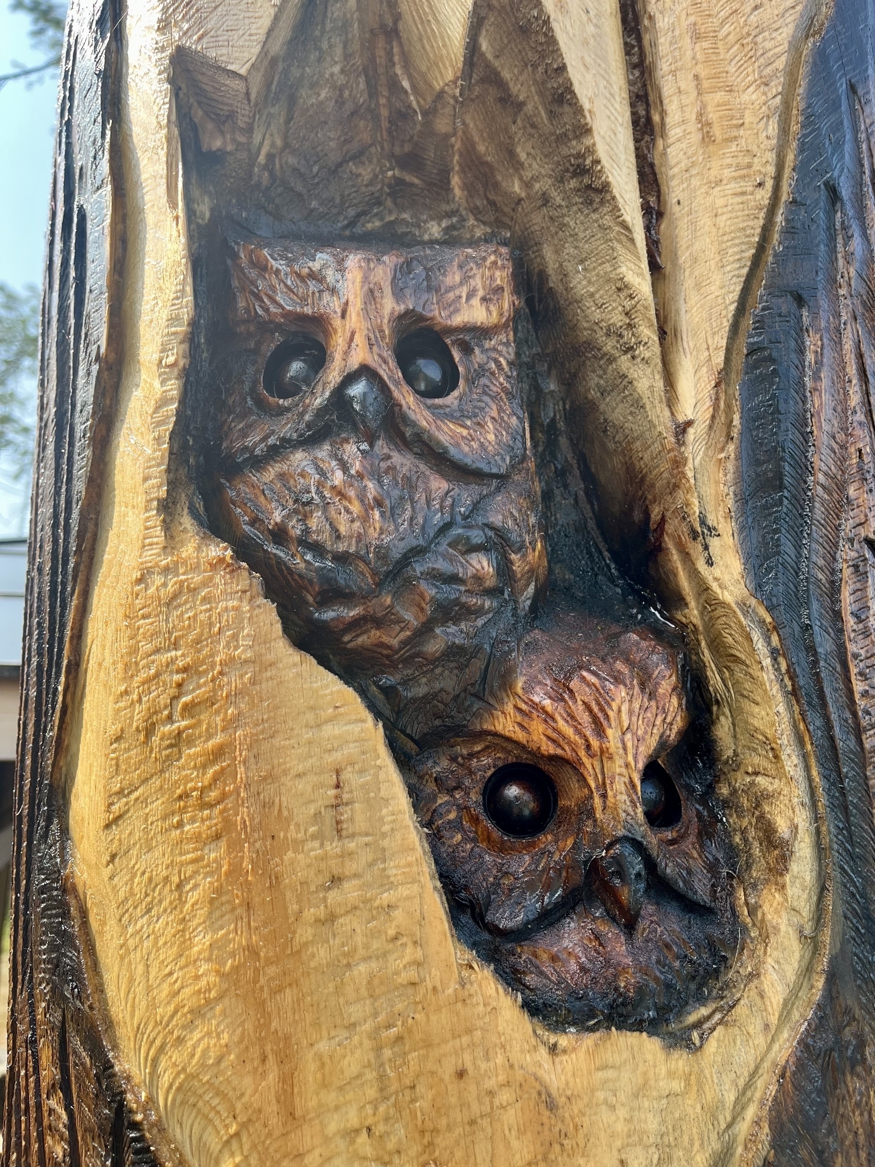Two intricately carved owls are nestled within a wooden tree trunk.
