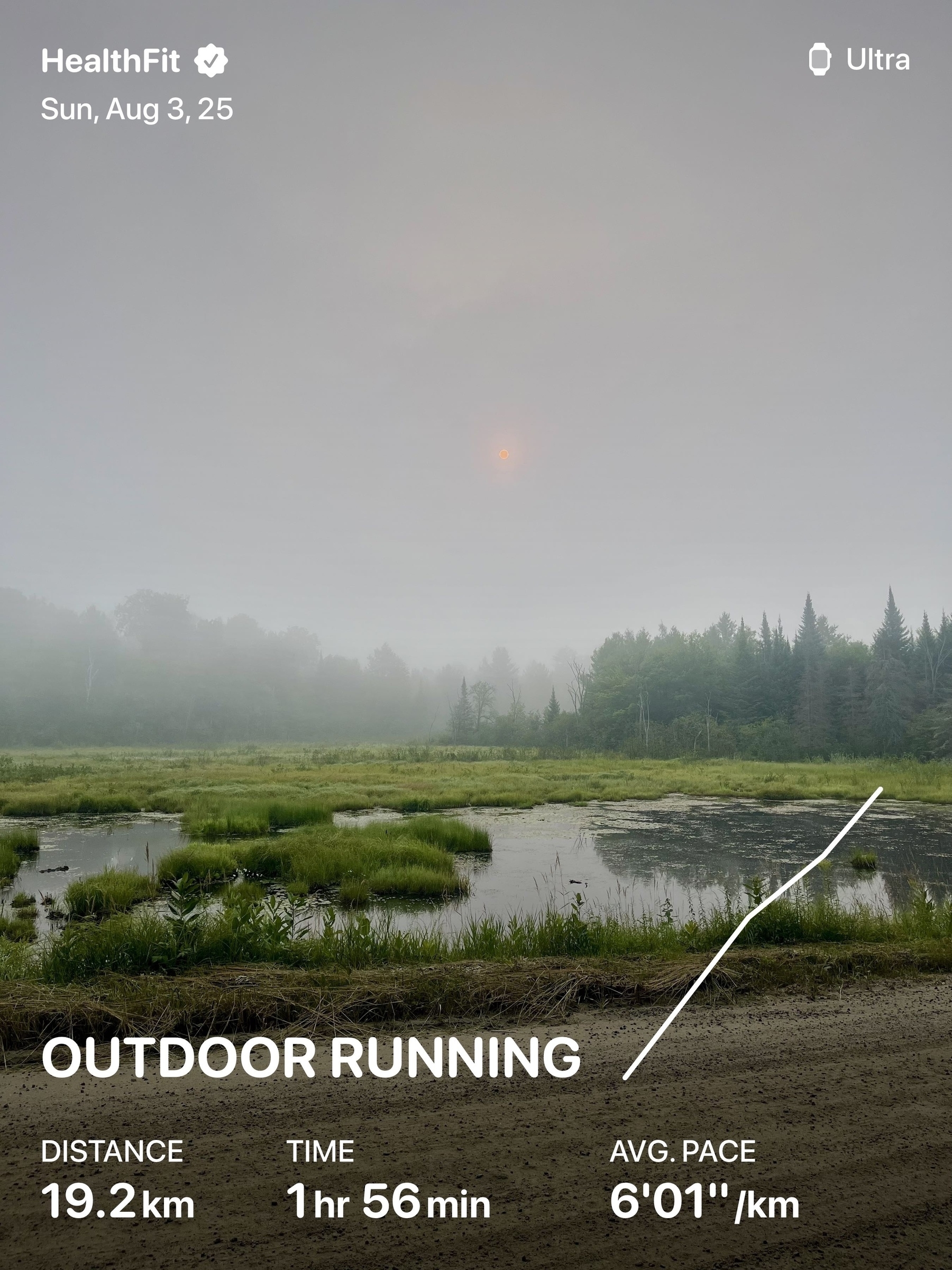 A misty outdoor landscape features a marshy area and trees in the background, with overlaid text detailing a running activity summary.