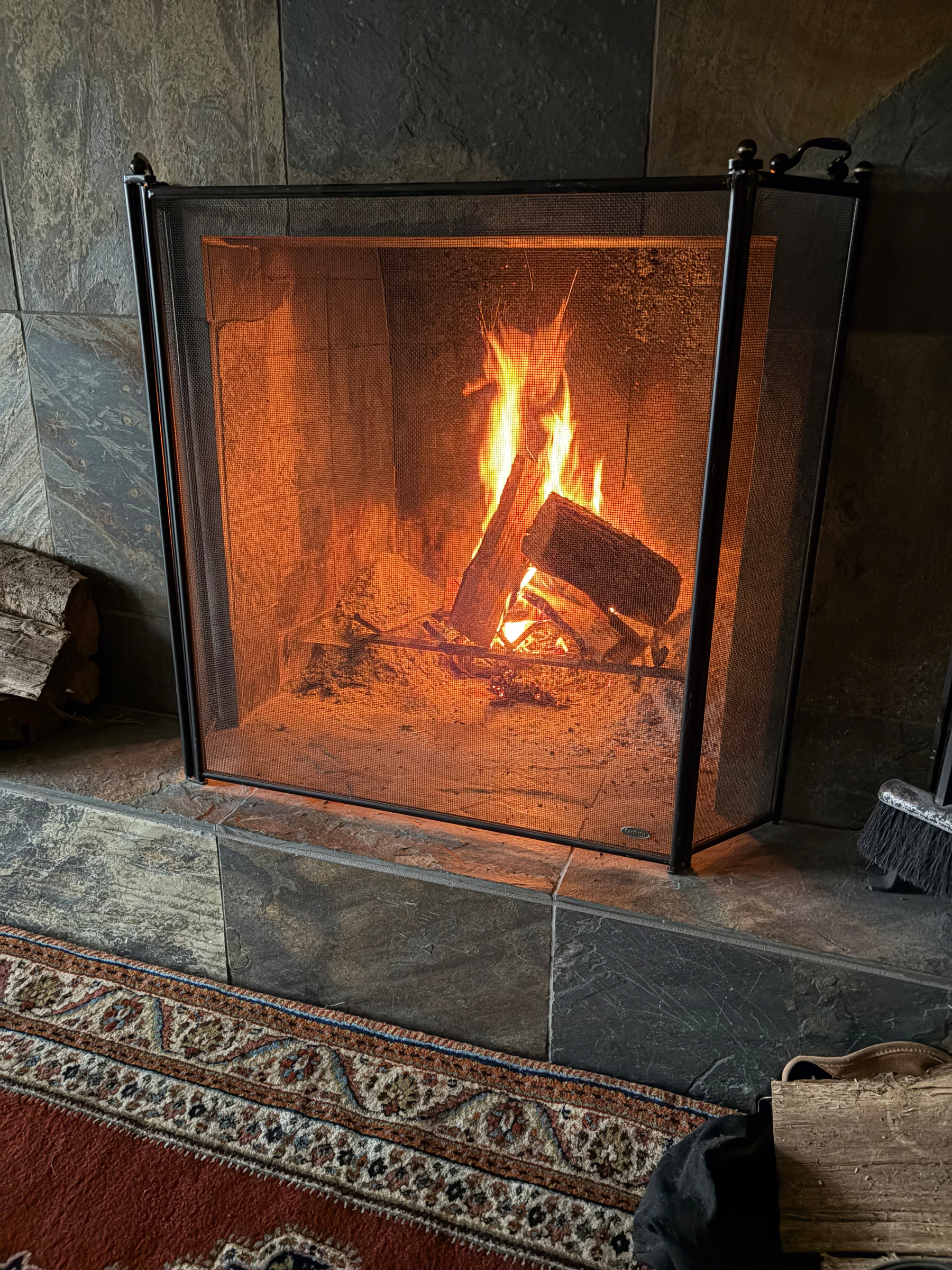 A cozy fireplace with a burning fire is behind a protective screen.