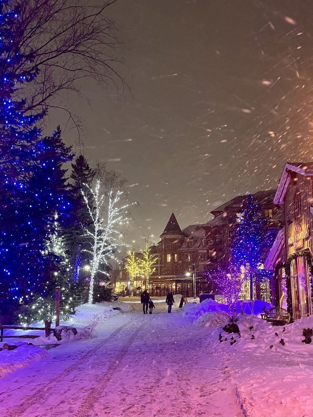 Snowy street lined with trees and buildings adorned with colorful holiday lights.