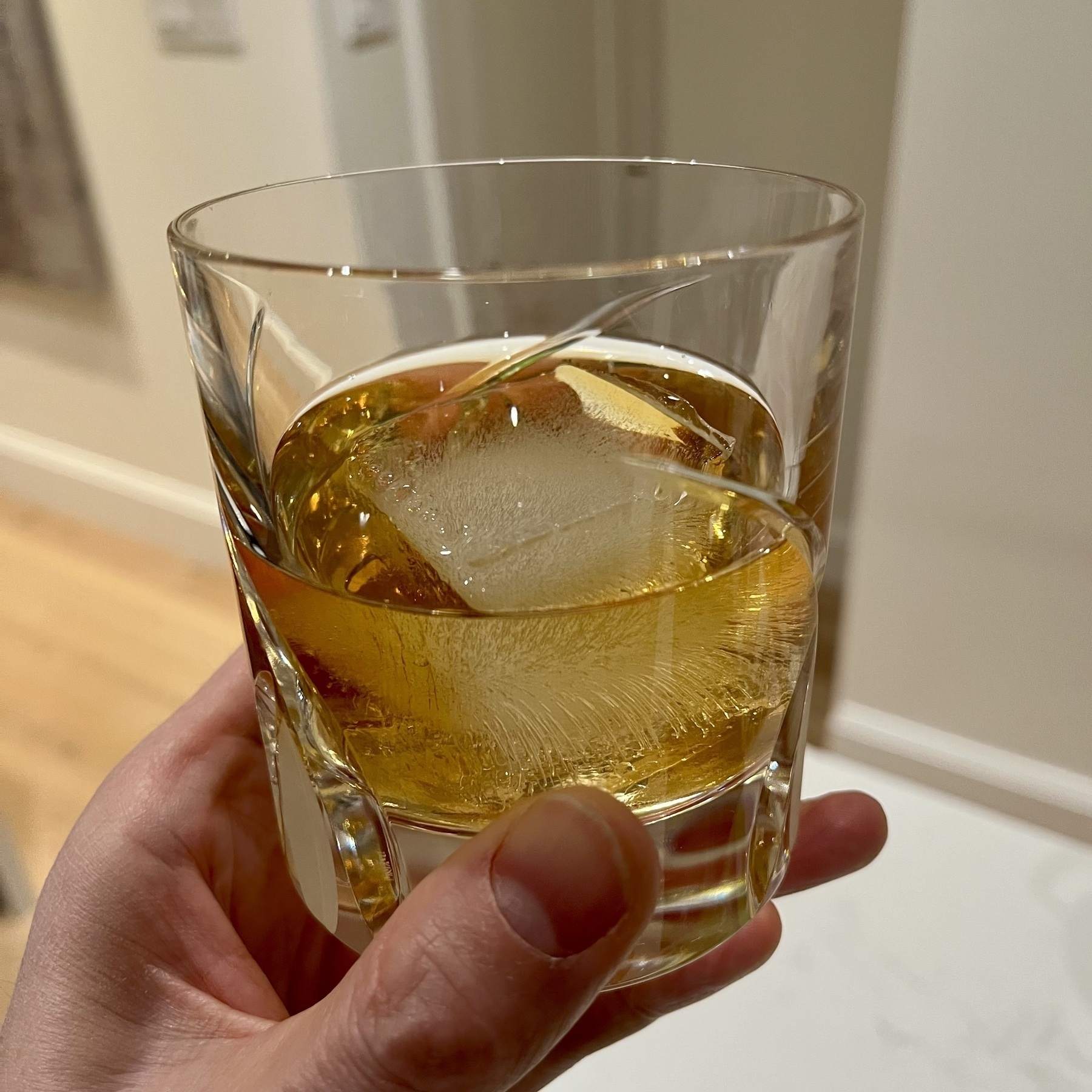 Glass of scotch with an ice cube, held up by a hand