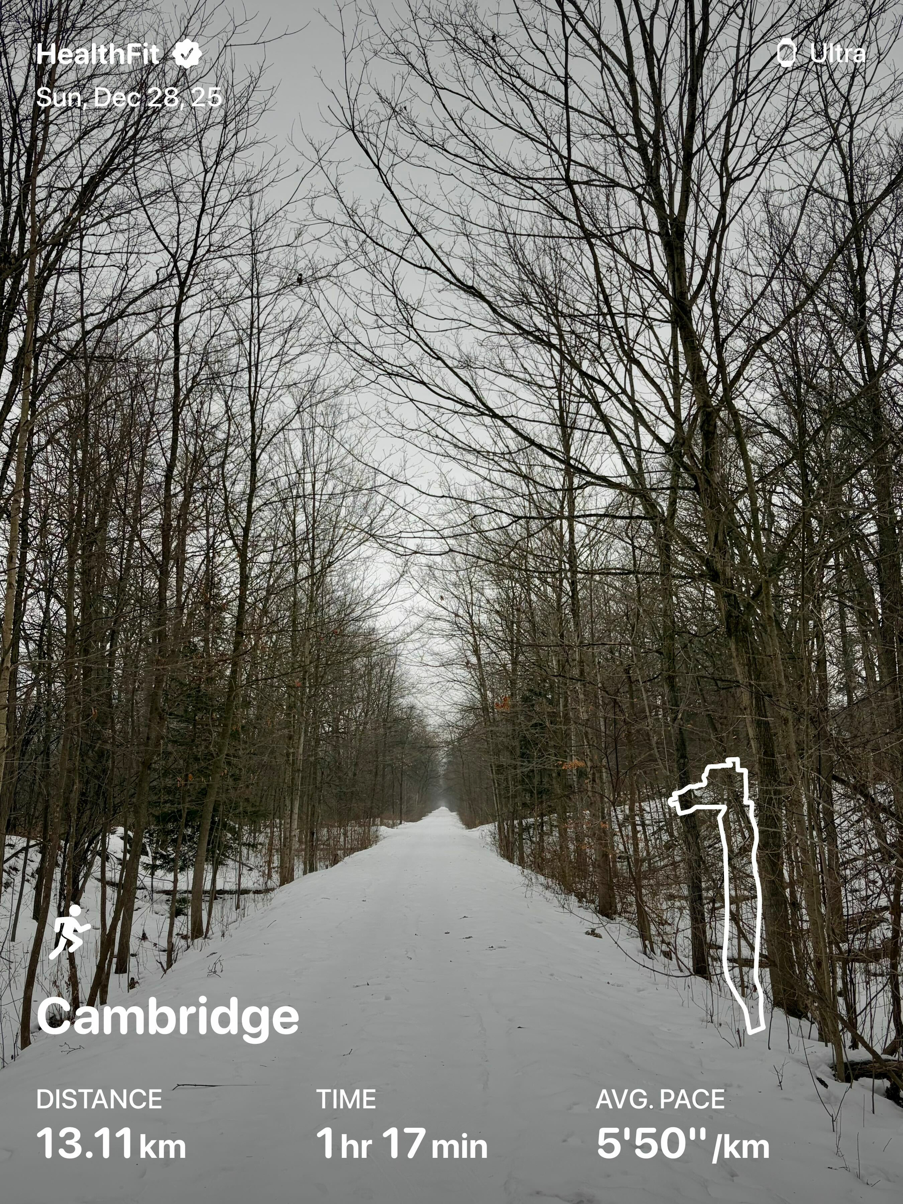 A snowy trail lined with leafless trees stretches into the distance under a gray sky in Cambridge.
