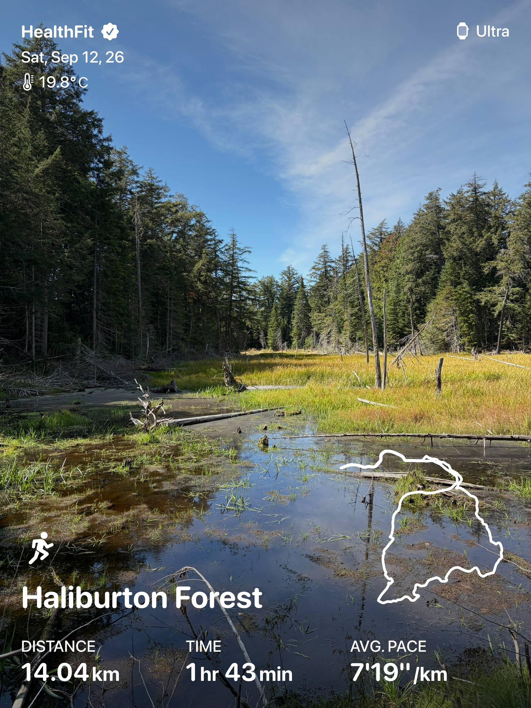 A peaceful forest scene in Haliburton Forest with a marshy area, surrounded by tall trees under a clear sky, accompanied by fitness tracking details showing a 14.04 km distance covered in 1 hour 43 minutes.