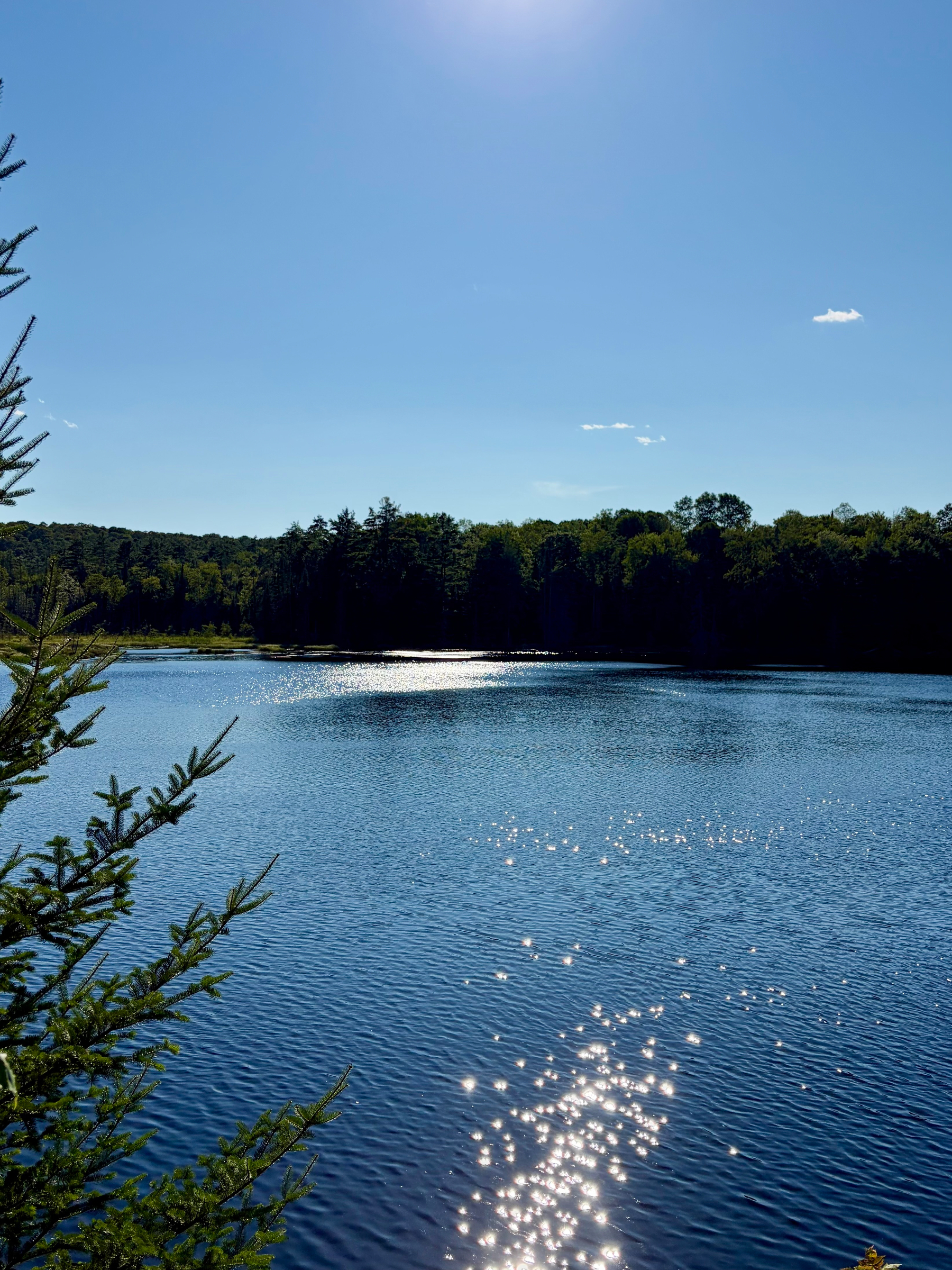 A serene lake reflects the sunlight with a forested shoreline under a clear blue sky.