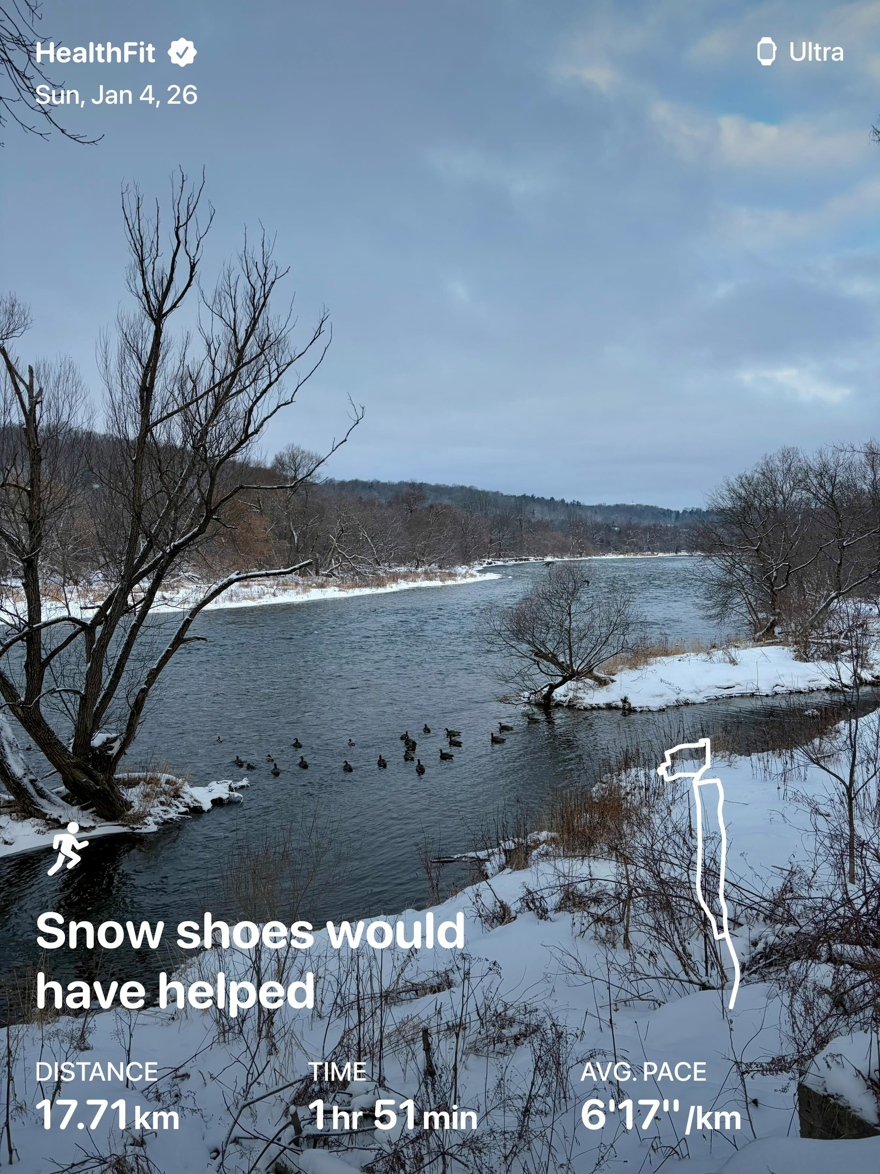 A snowy riverside landscape features bare trees and a path winding through the snow as geese gather by the water.