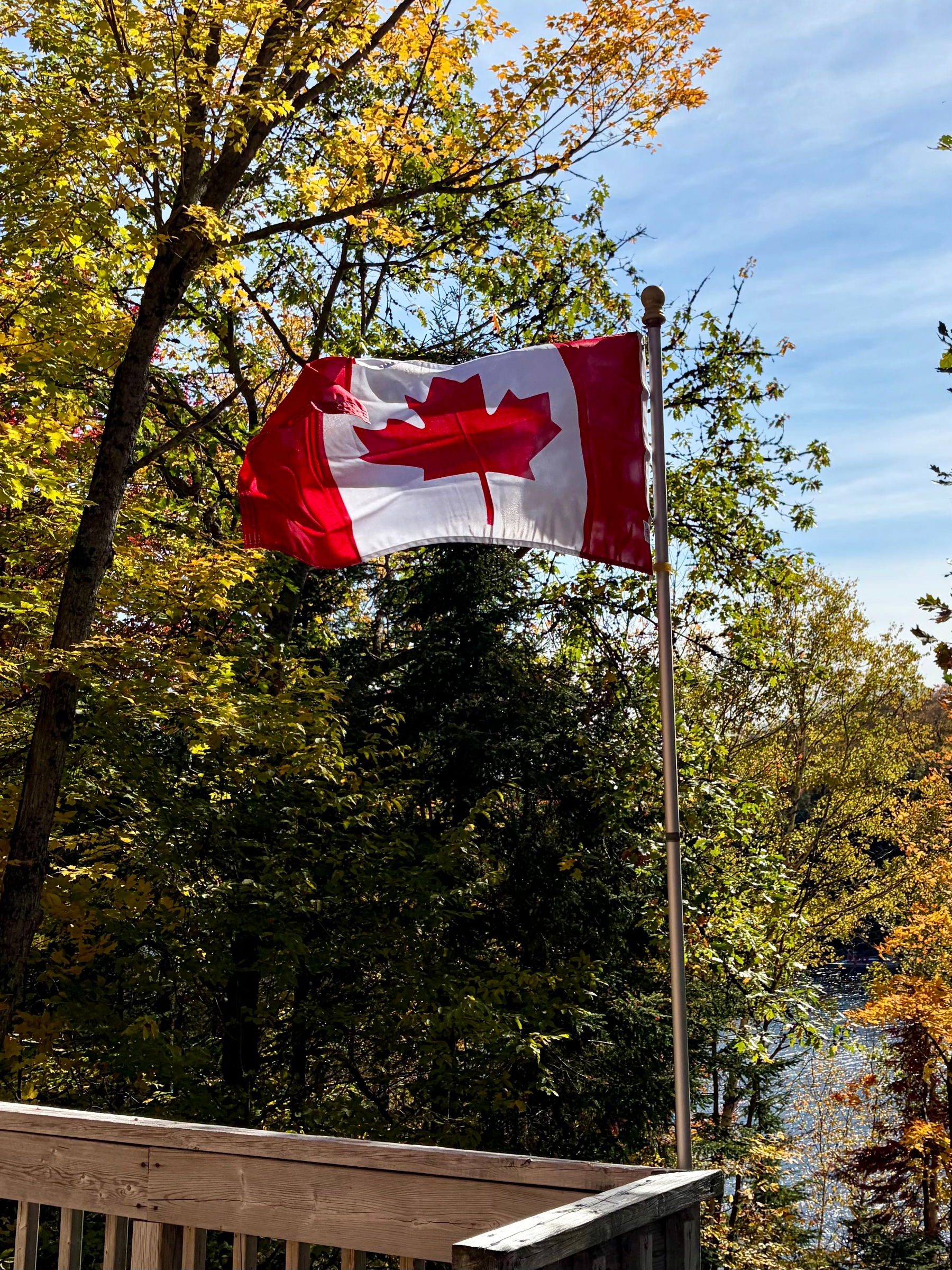 A Canadian flag is waving on a flagpole surrounded by trees with autumn foliage under a clear sky.