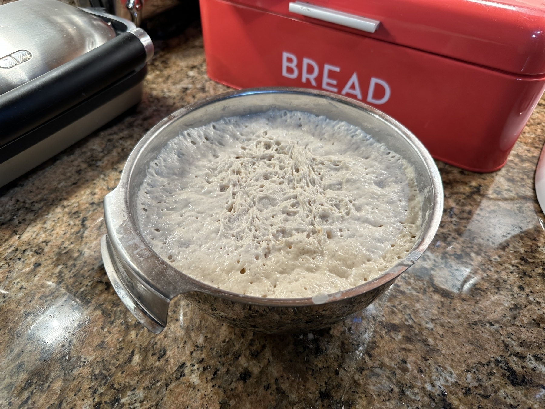 Photo of a metal bowl full of bubbly dough on a kitchen counter.