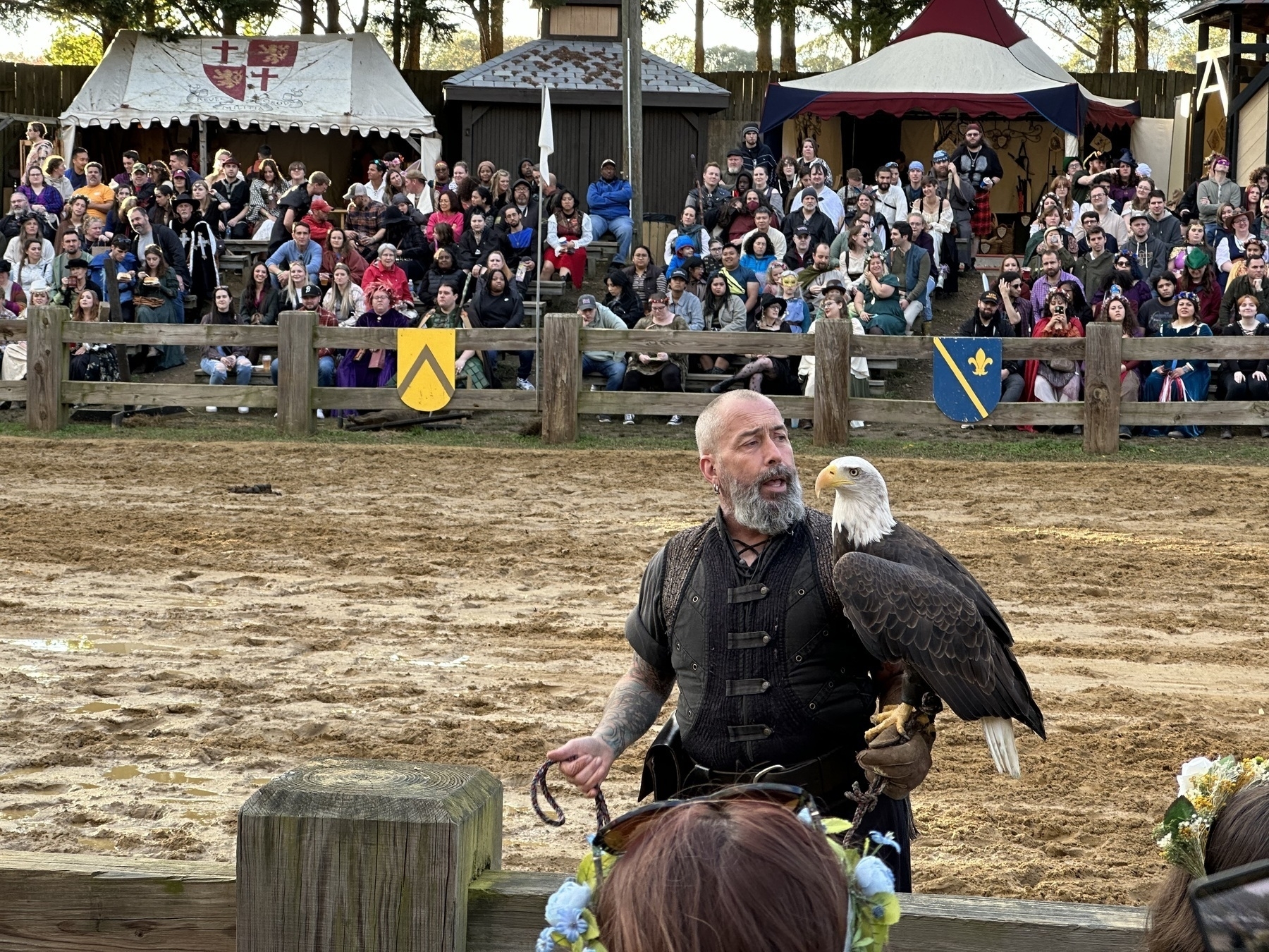 Photo of a man in antique clothing carrying a bold eagle, standing in a muddy arena surrounded by spectators.