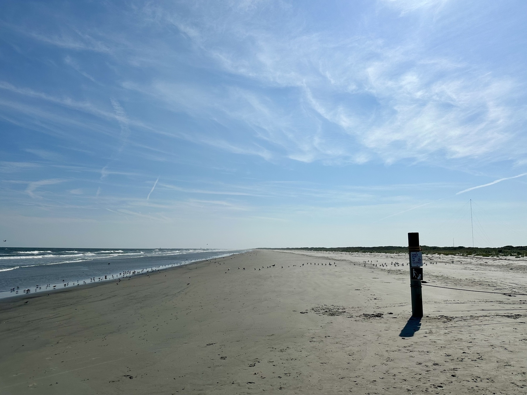 A view down an empty, wide beach. There are numerous small birds at the ocean’s edge.