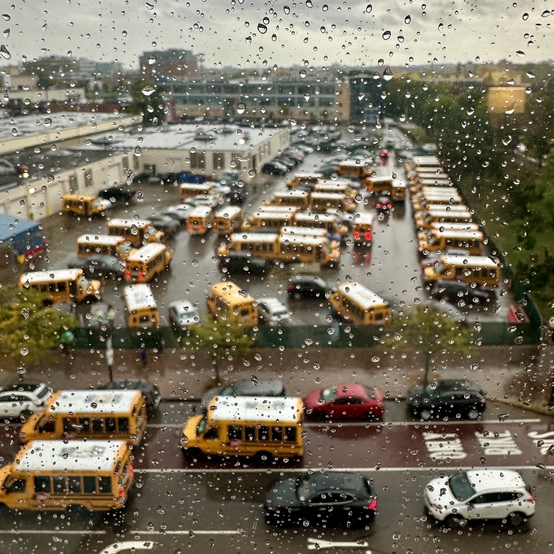 A group of yellow school buses is parked in a lot on a rainy day, viewed through a window with raindrops.