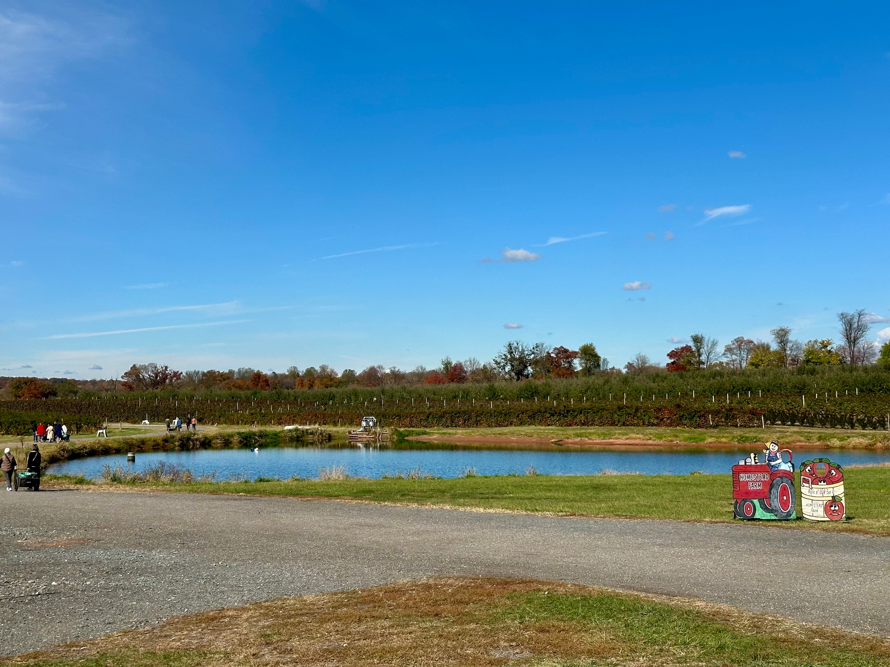 A scenic landscape features a small lake with surrounding trees, people in the distance, and a tractor with a sign promoting apple picking.