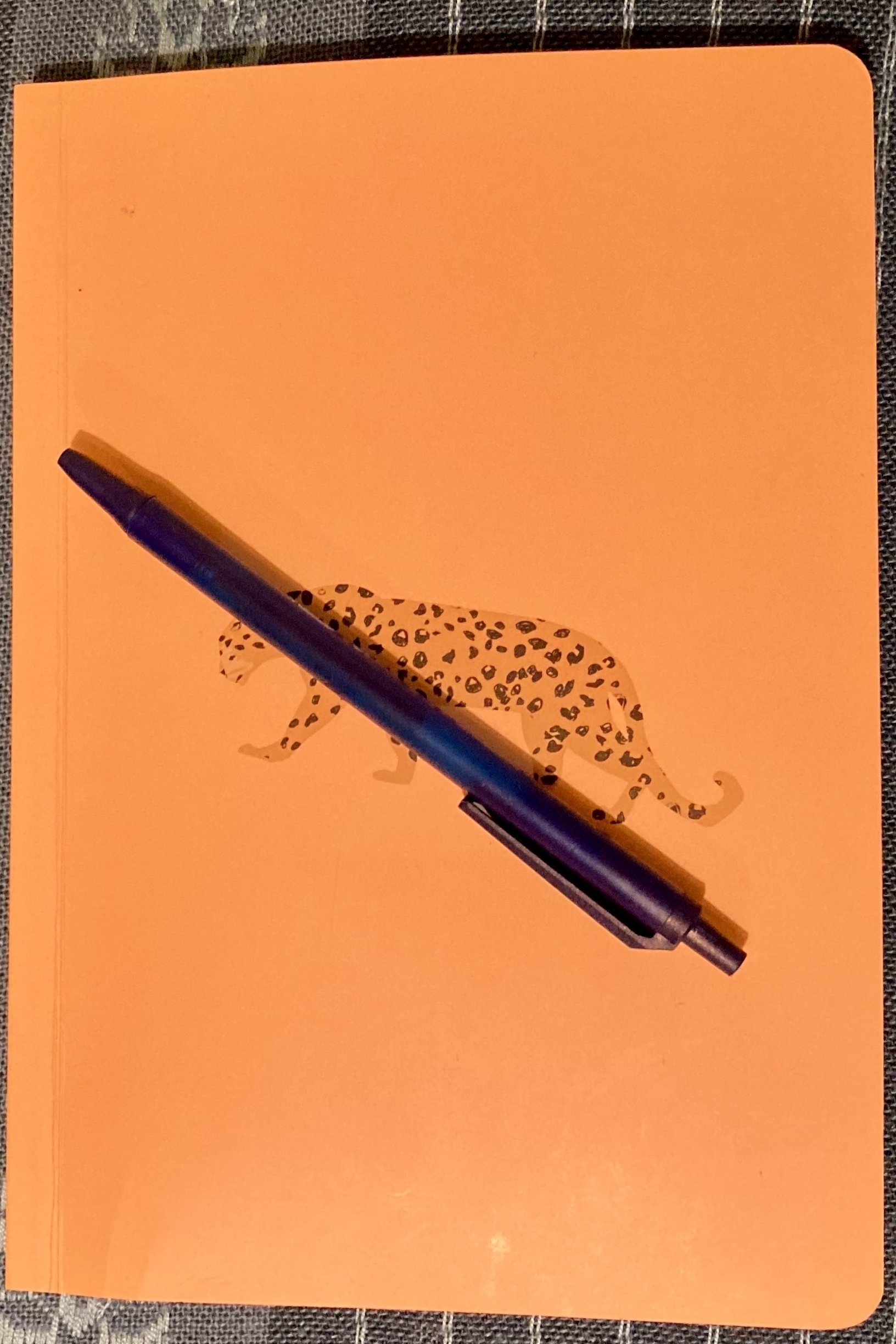 notebook with ballpoint pen on top of it