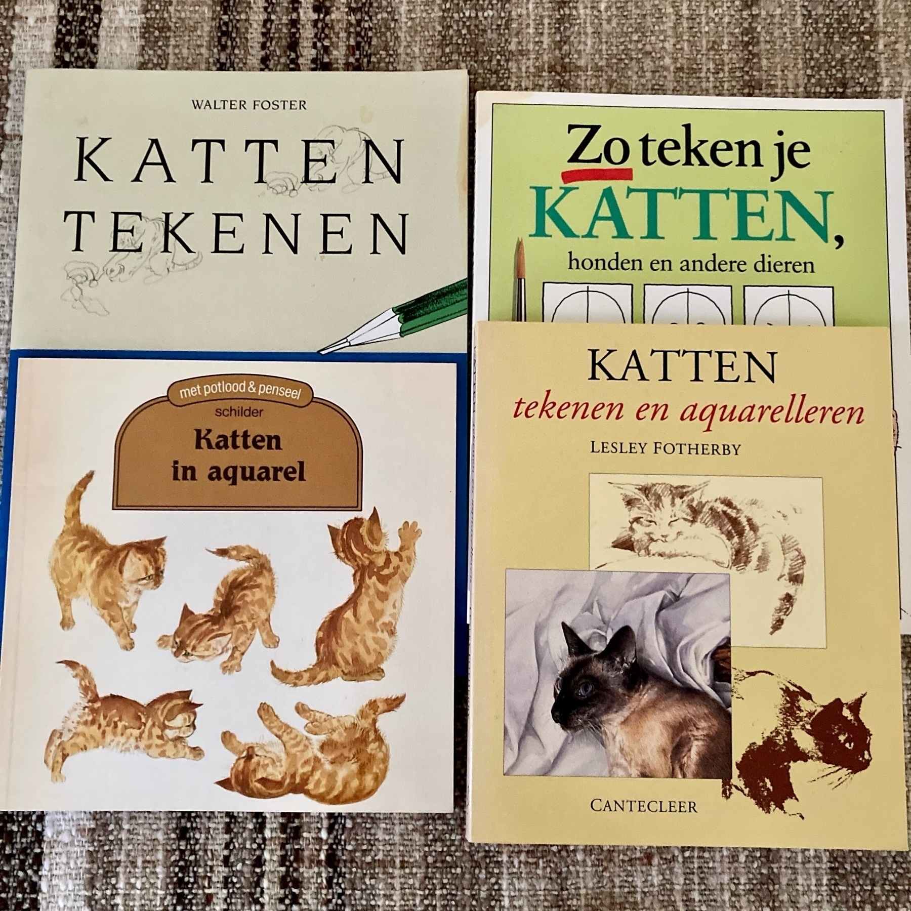 four Dutch language art instructional book about drawing and painting cats