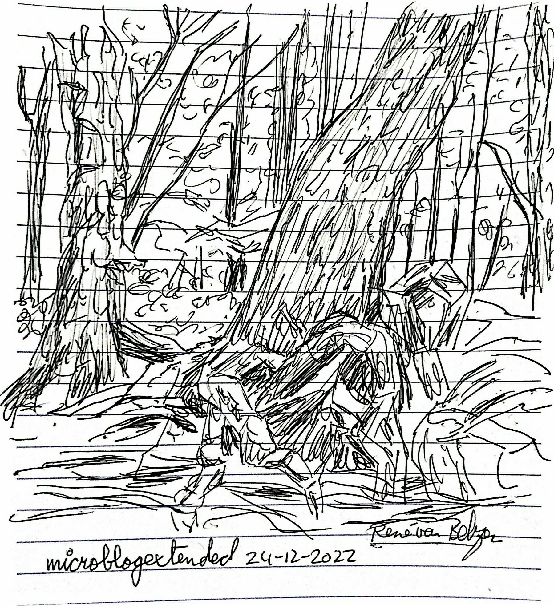 ballpoint pen sketch of a forest