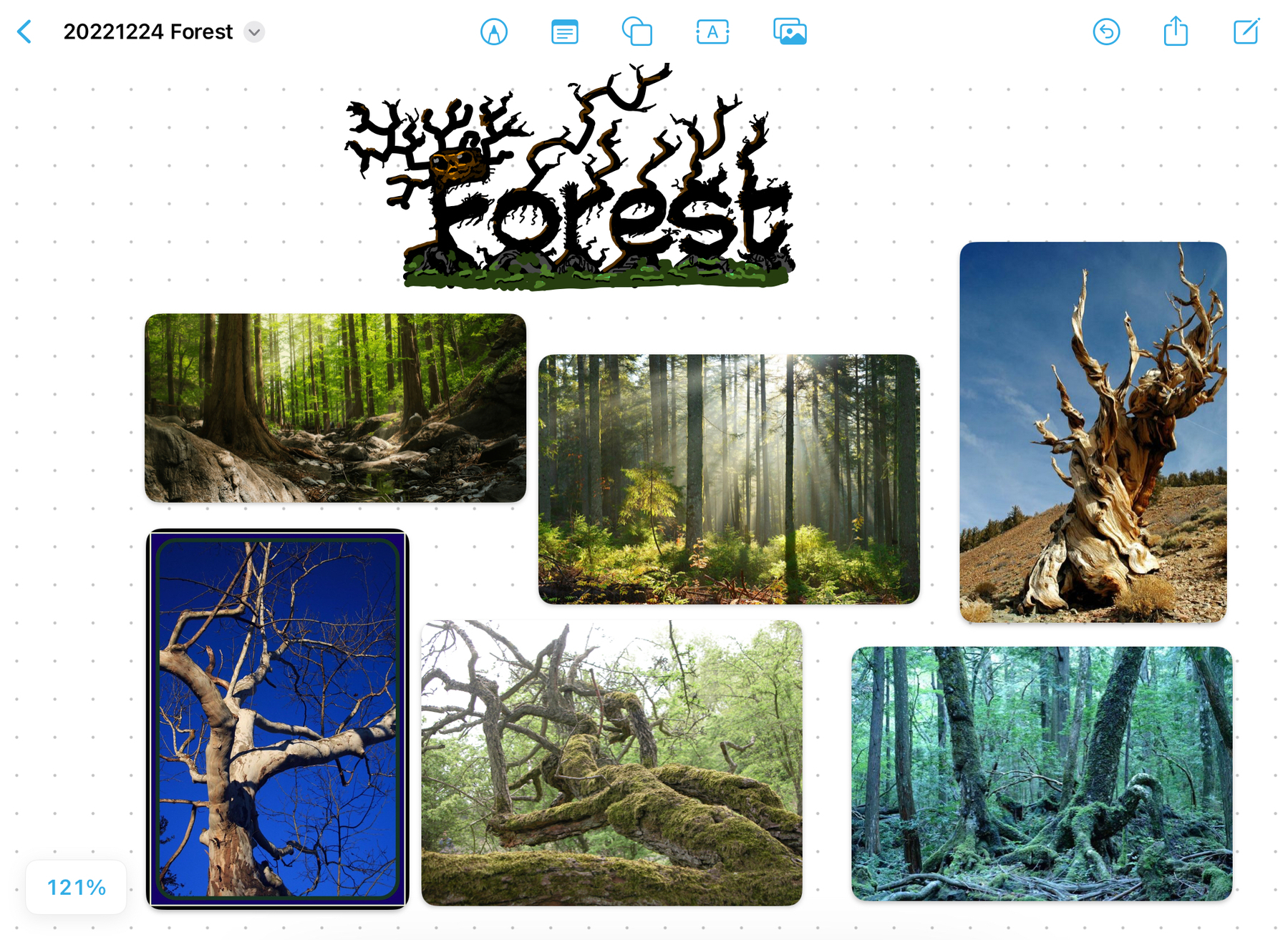 Freeform board with references for the word Forest