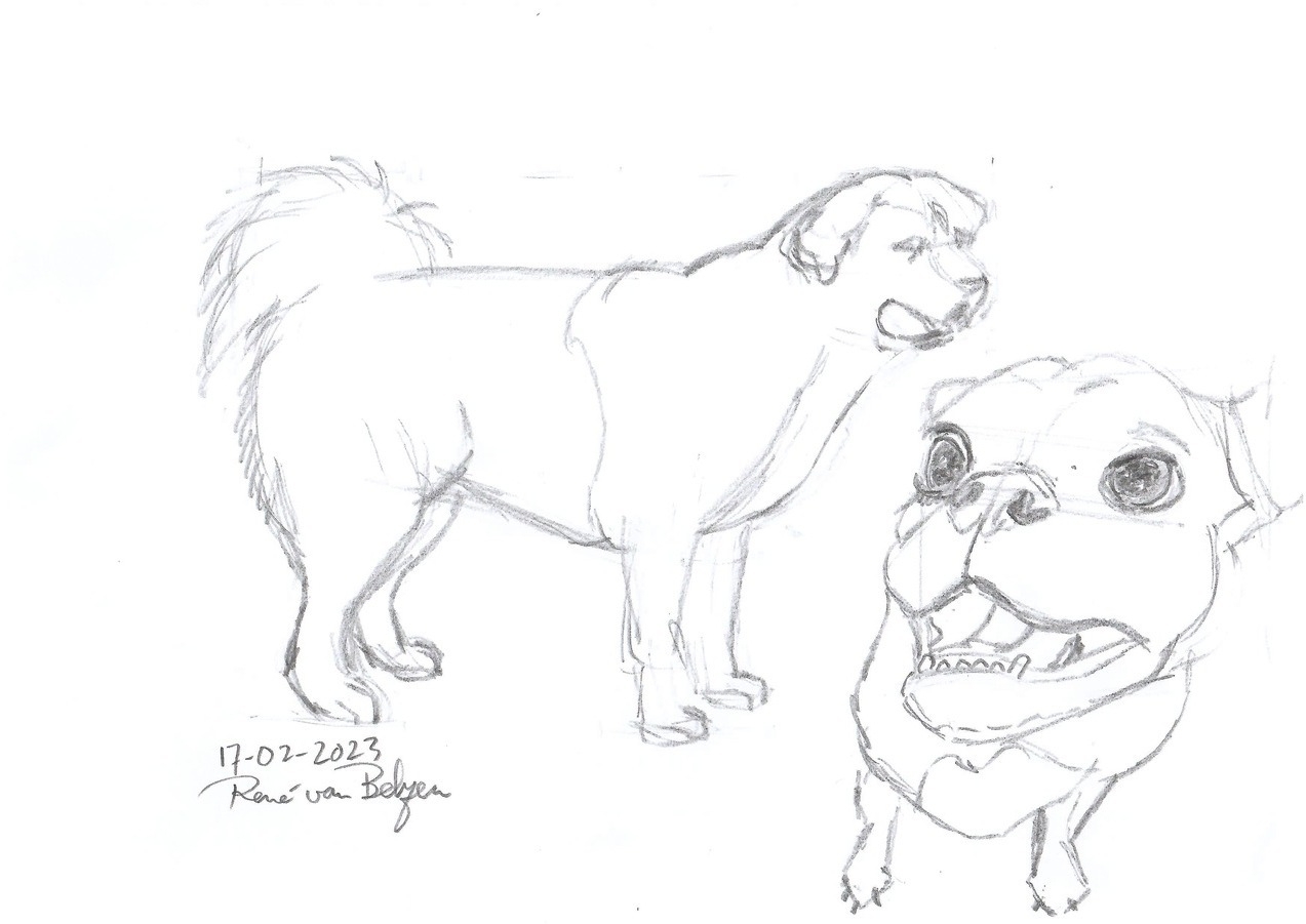 two (unshaded) pencil sketches of dogs