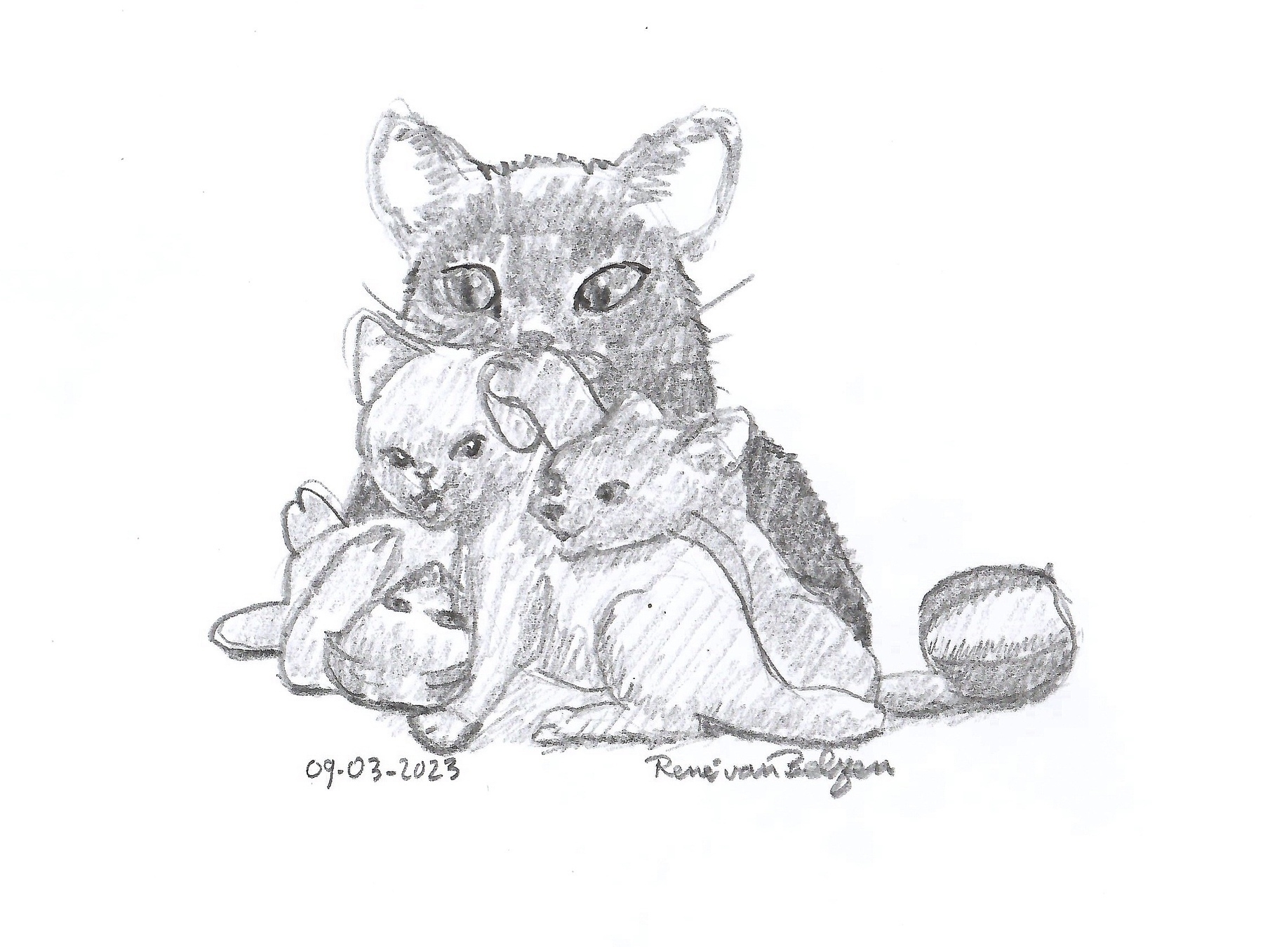 pencil sketch of a litter of kittens playing together while guarded by their mom