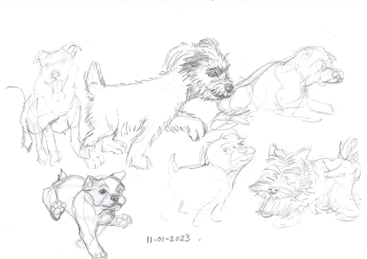 puppies sketched in pencil