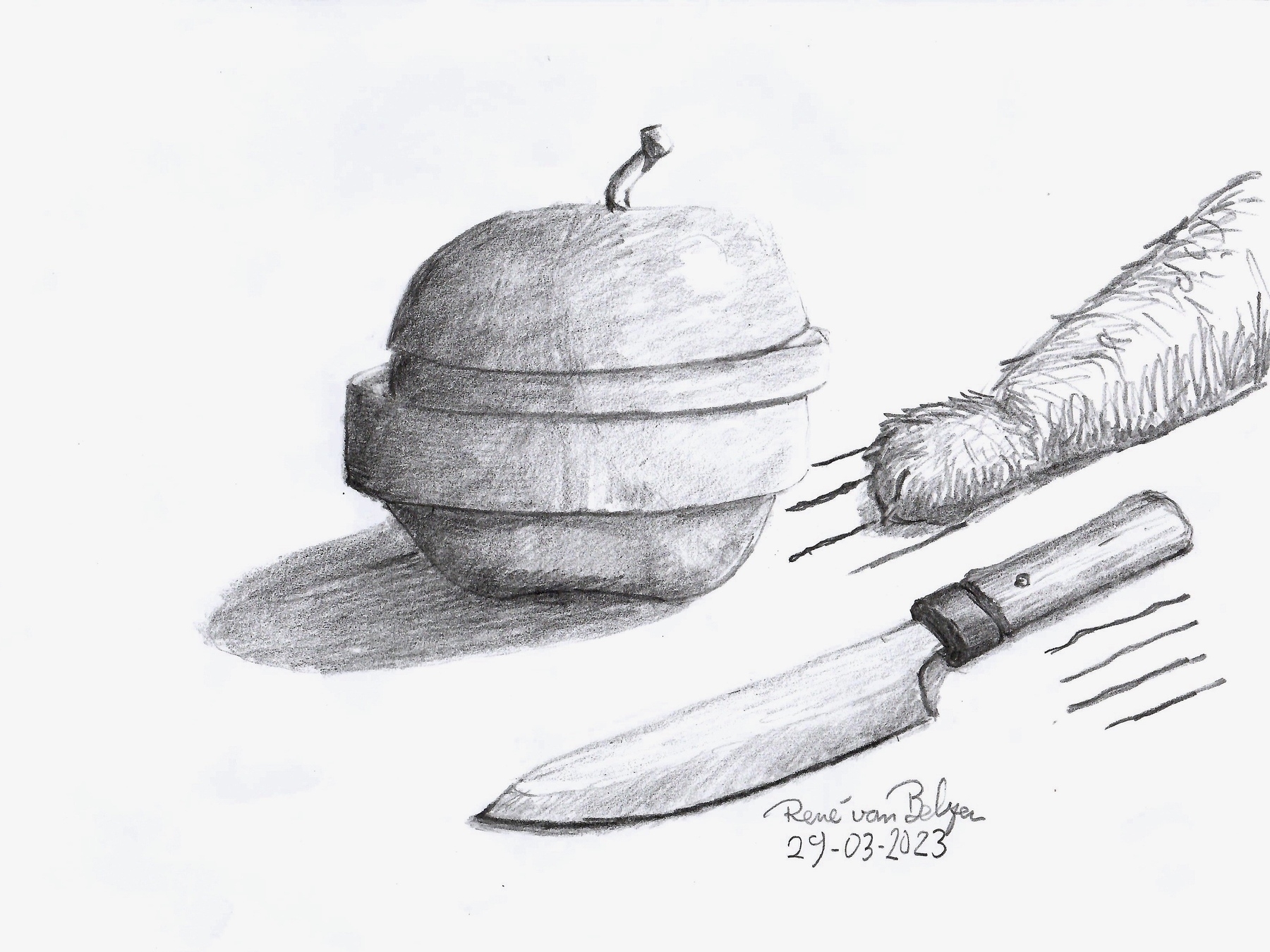 pencil drawing of a sliced apple, a fruit knife and a cat scratching the table surface