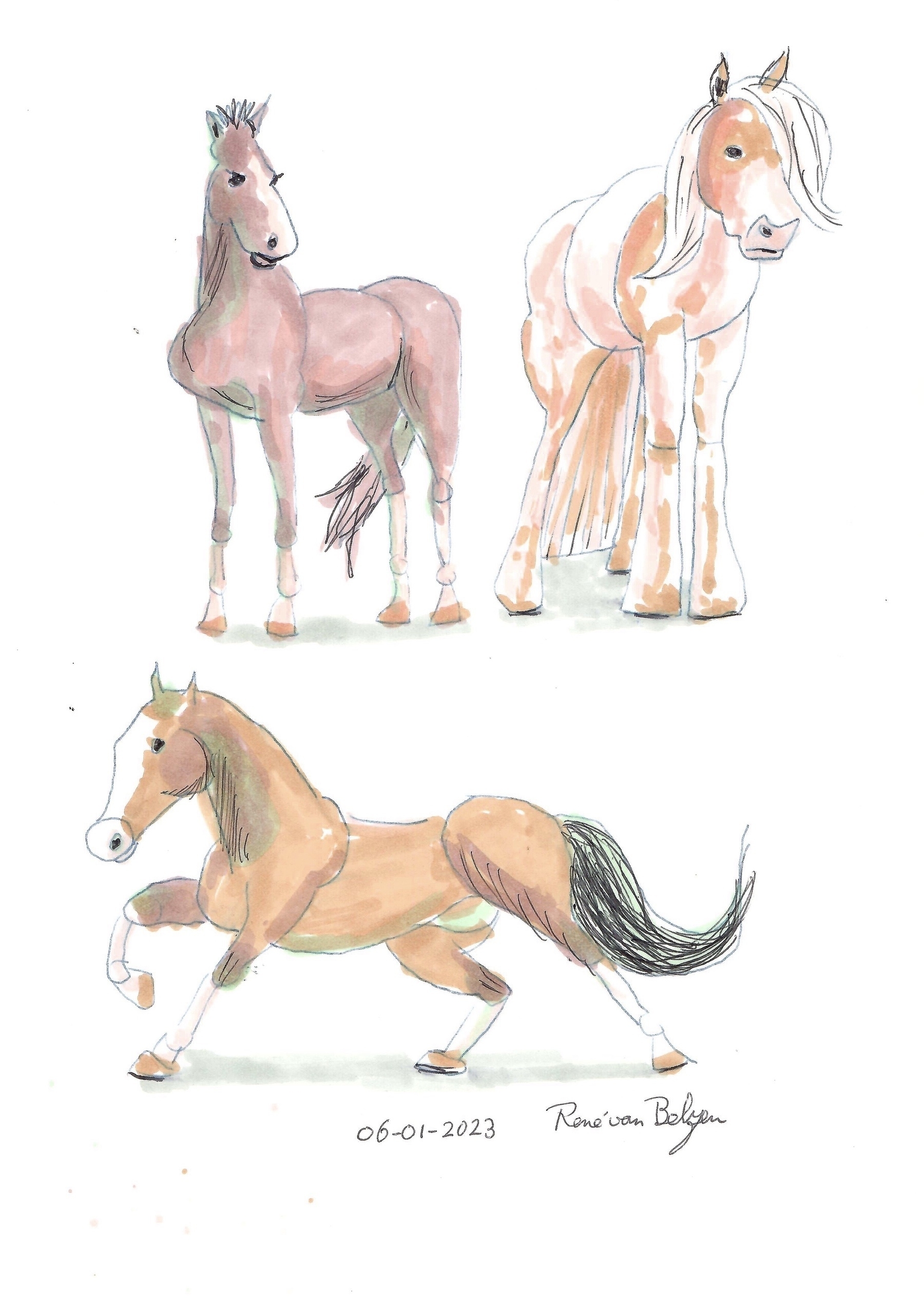 colored sketches of horses