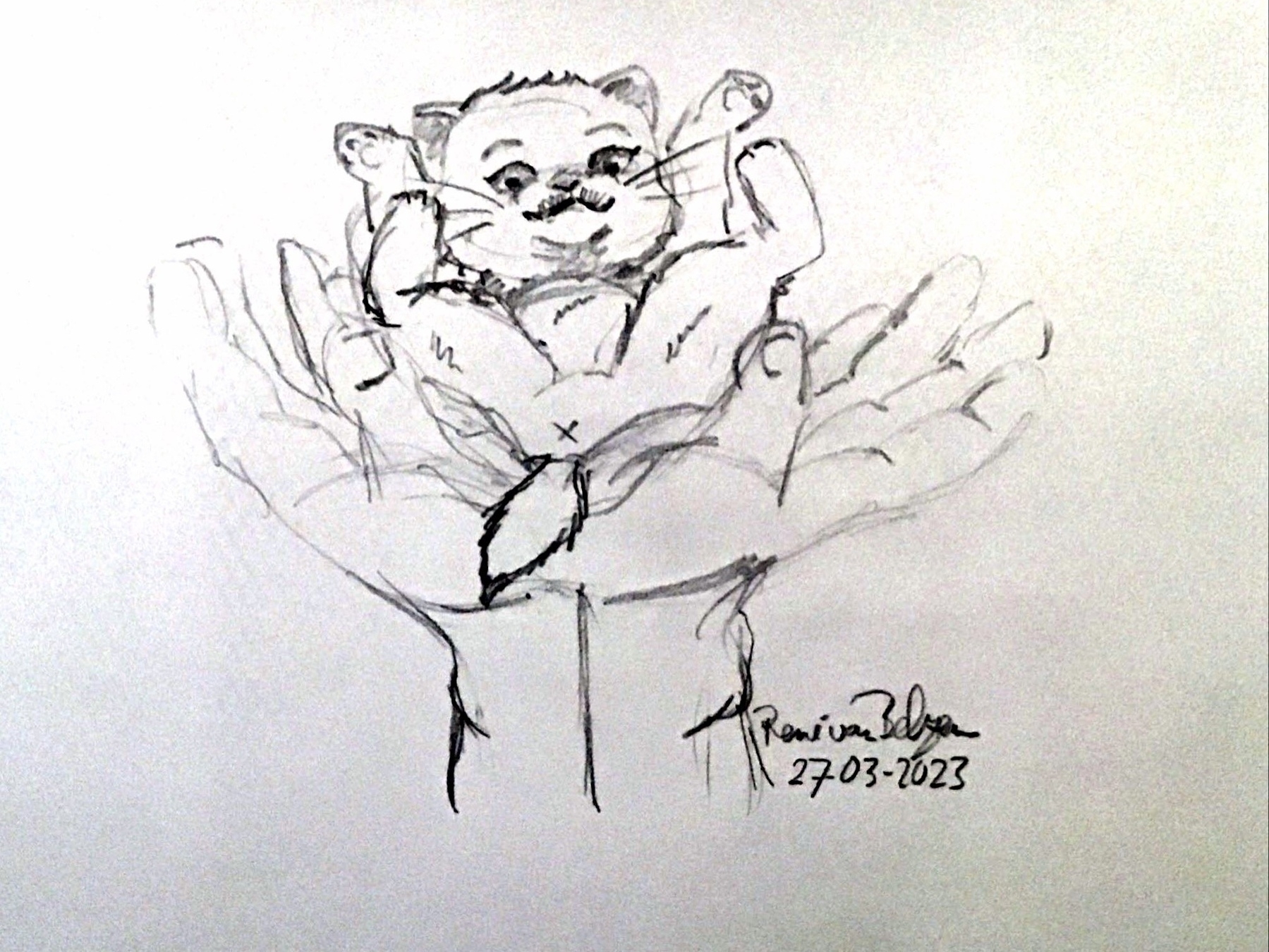 rough pencil sketch of kitten supported by two hands pressed together at wrists