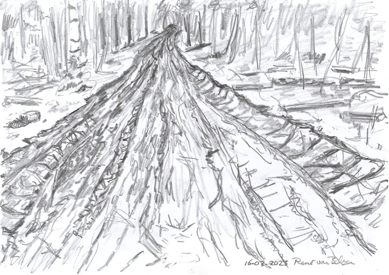 pencil sketch of a muddy forest road