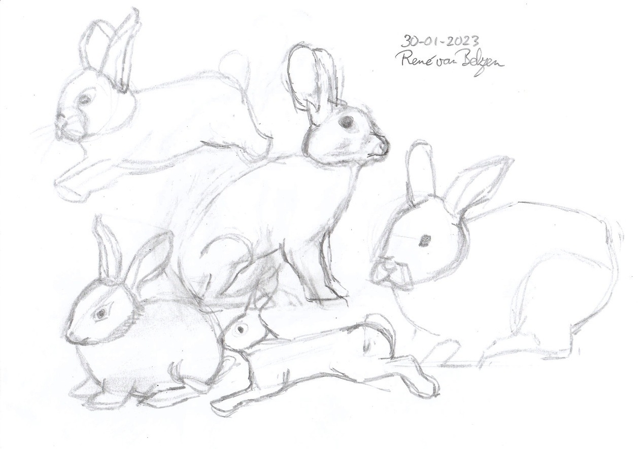 pencil sketch of rabbits