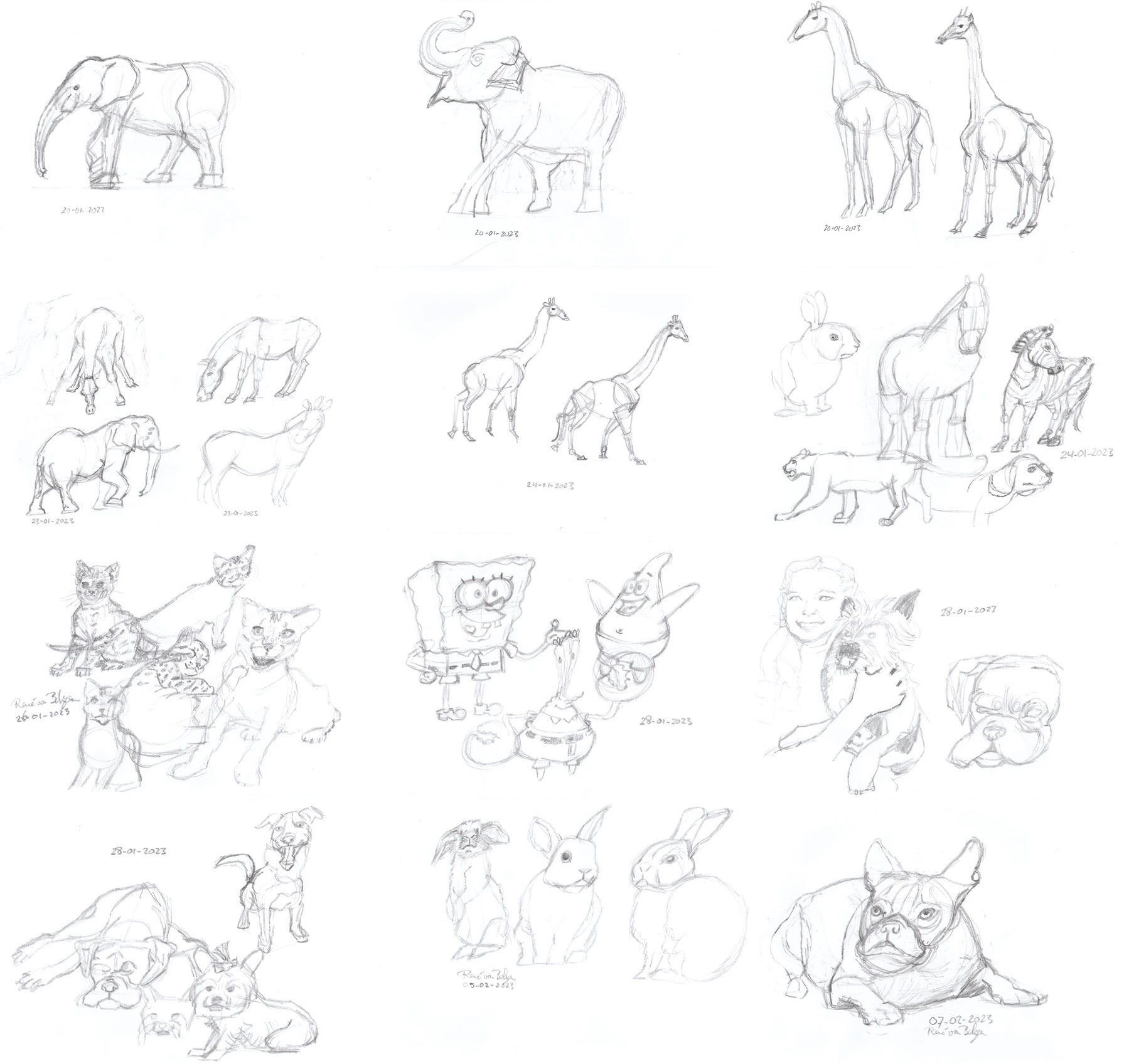 13 pages filled with pencil sketches of mostly animals