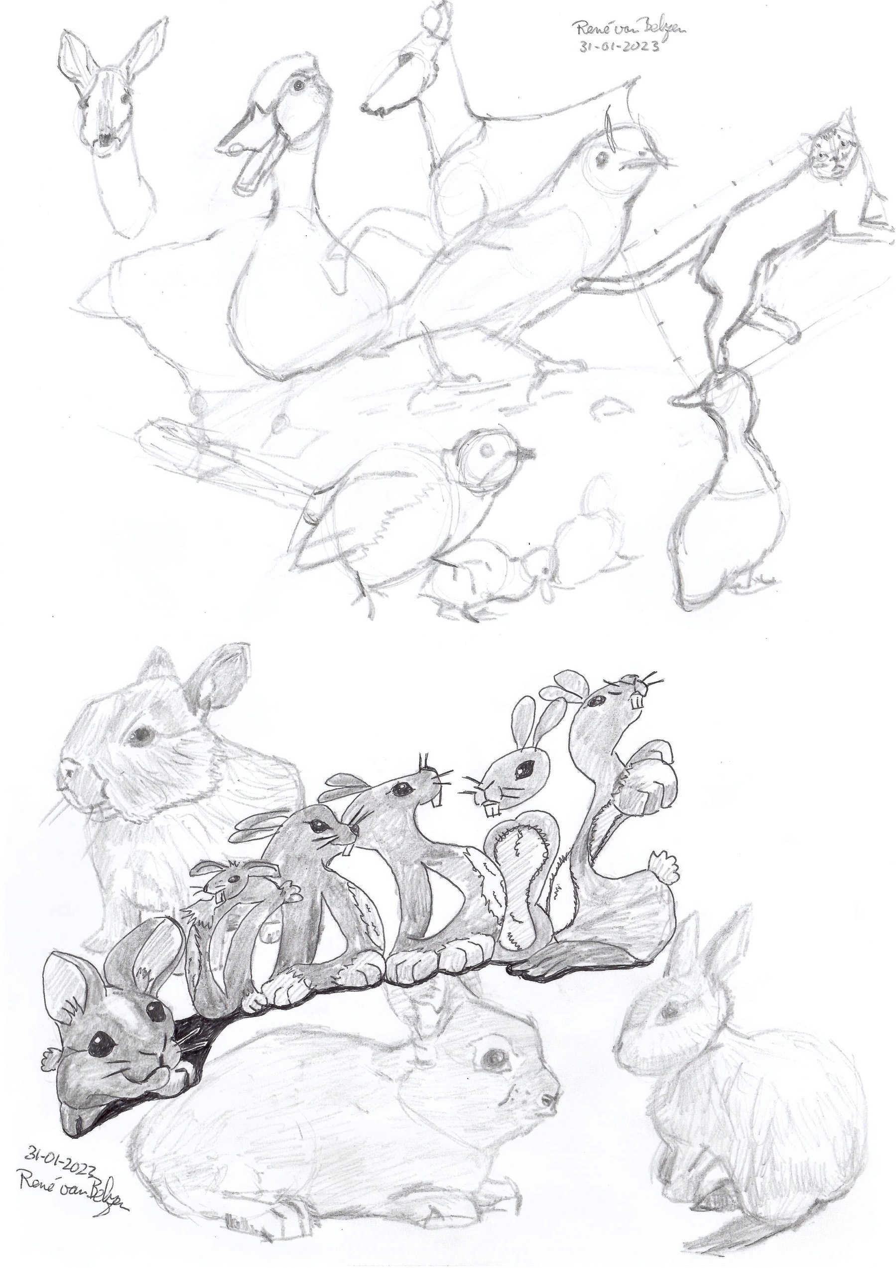 pencil sketches of animals