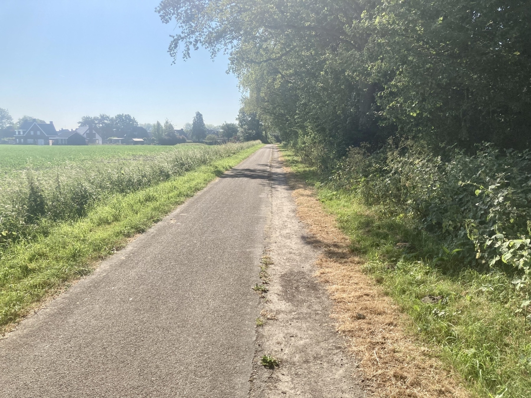 Long bike path, mostly in the sun, tough on the body