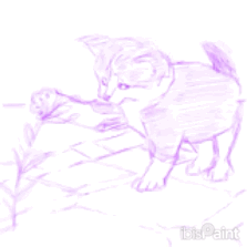 animated gif of drawing process of kitten reaching for flower