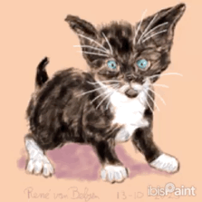 animated GIF process of drawing of black and white kitten