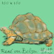 animated GIF of drawing process of giant tortoise