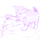 rough sketch of kitten reaching for flowing in IbisPaint X