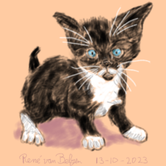 drawing of black and white kitten in IbisPaint
