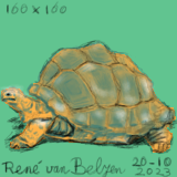 drawing of a giant tortoise in IbisPaint X