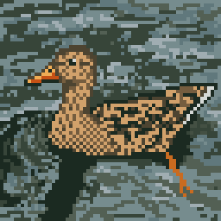 A pixelated duck swims in stylized water.