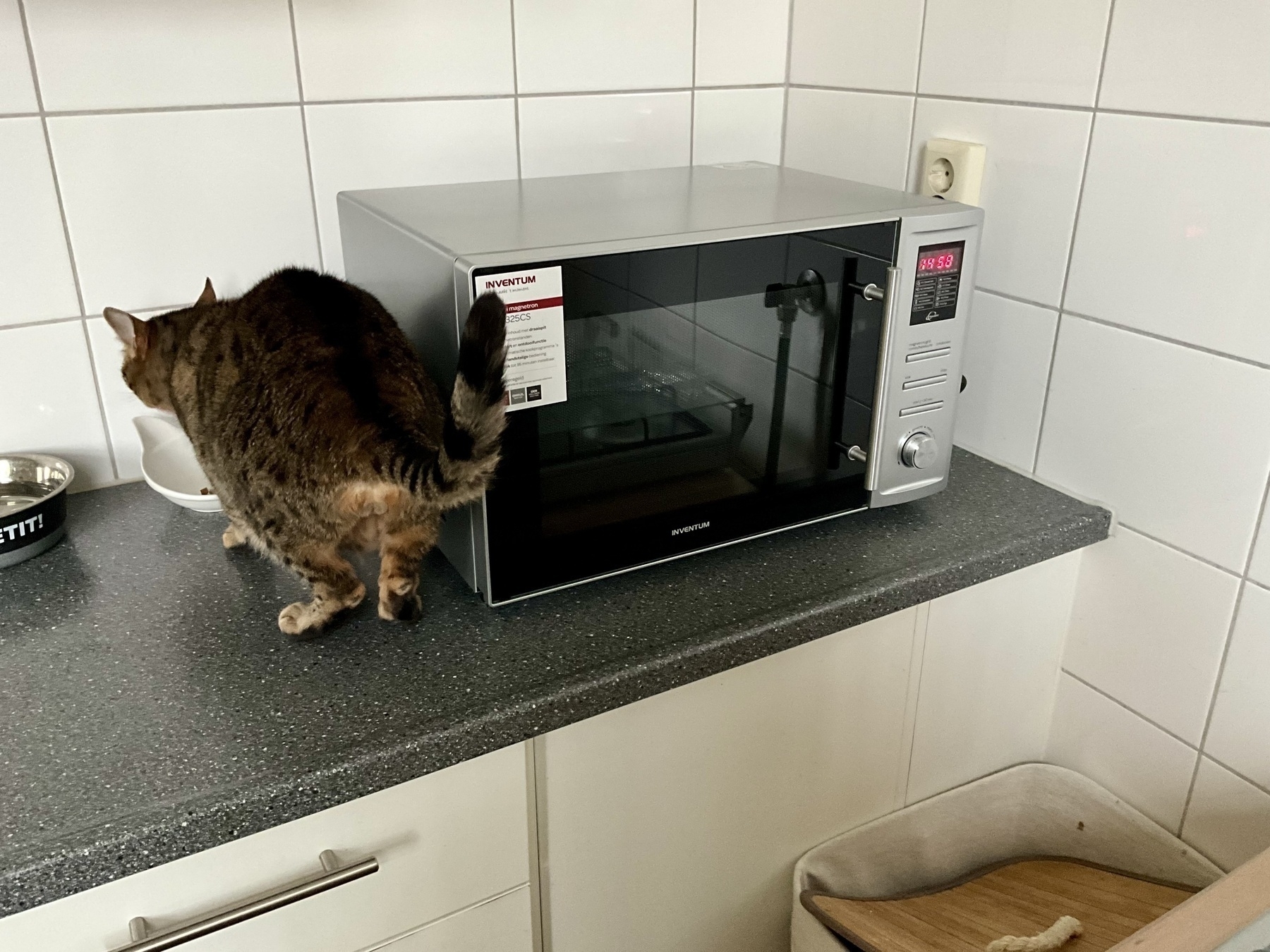 cat eating food next to microwave oven