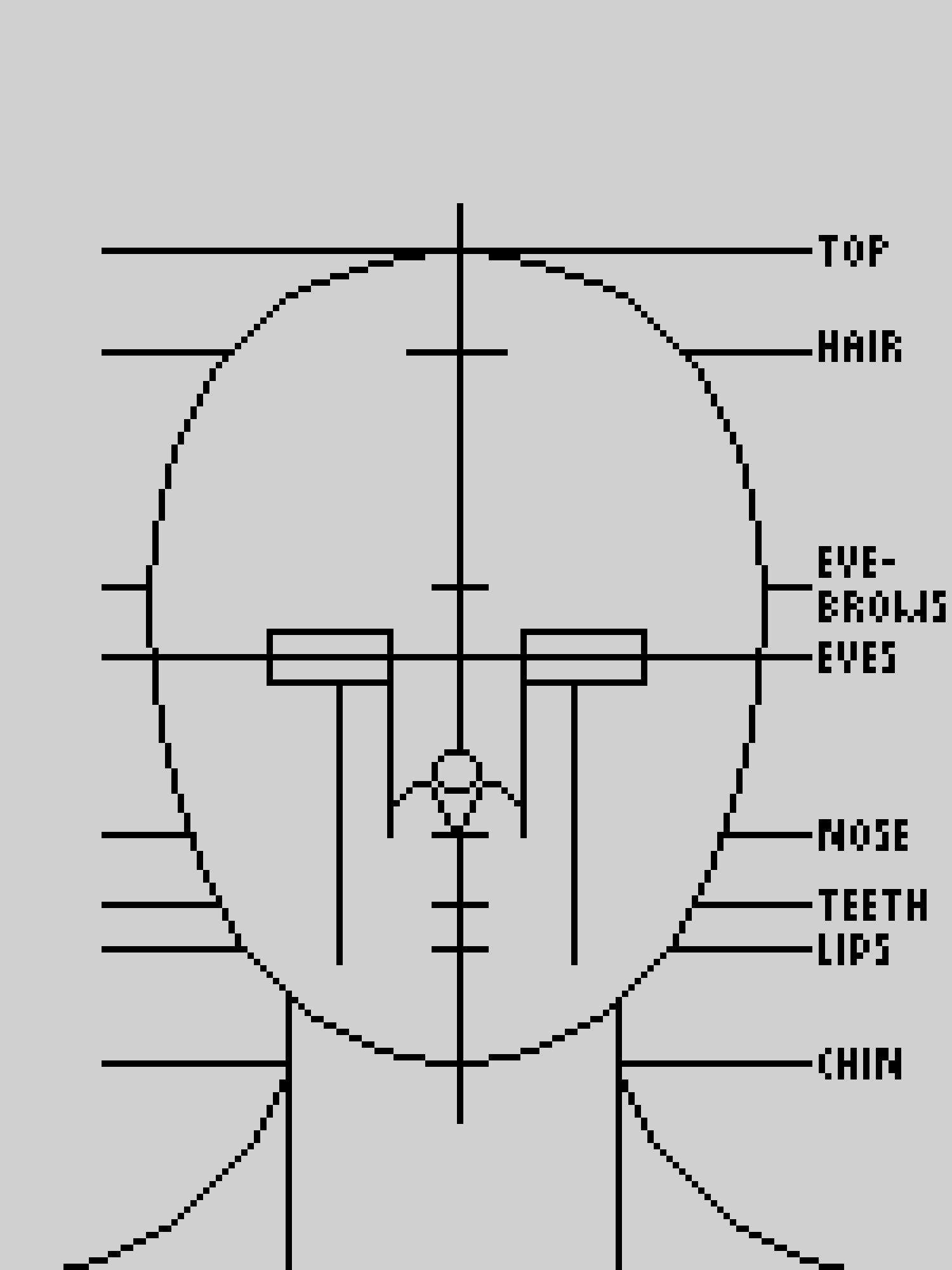 basic proportions of the human head