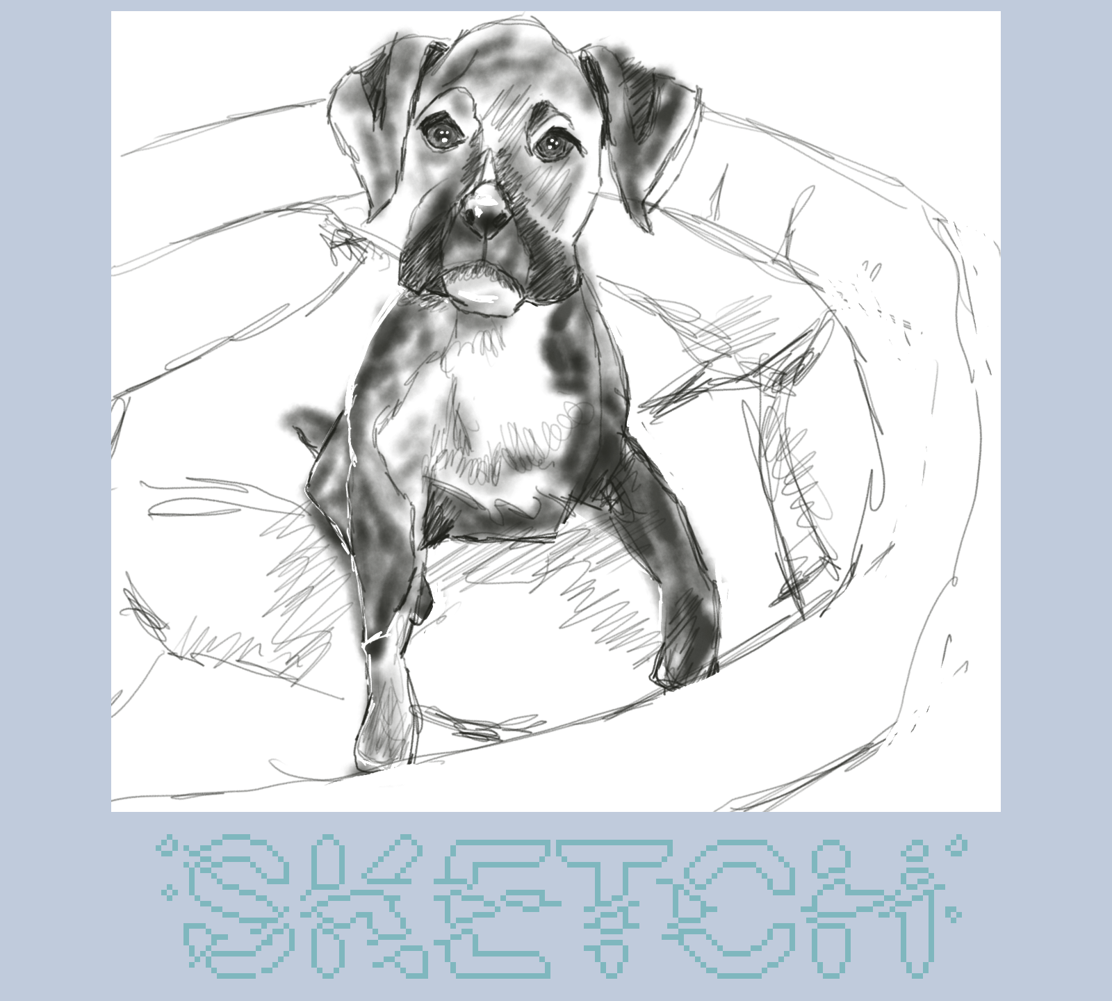 A sketch depicts a puppy sitting inside a circular bed with SKETCH written below.