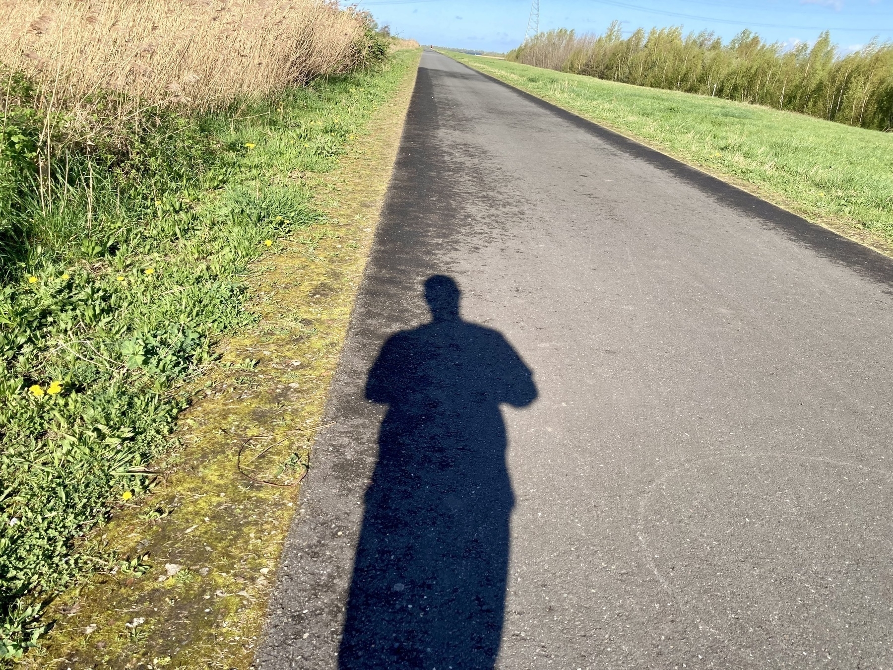 shadow of runner on a bike path through nature