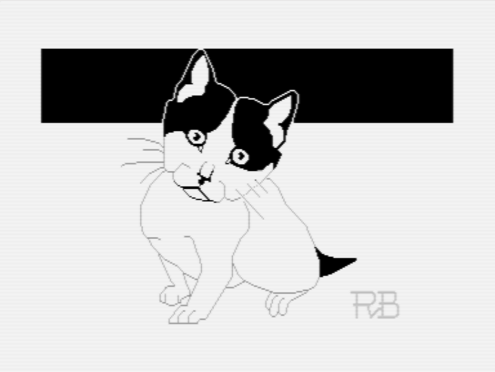 Commodore 64 hi-res pixel art drawing of a black and white kitten