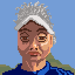 A pixel art portrait depicts a person with silver hair, wearing blue clothing against a sky and hills backdrop.