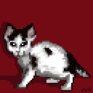 A pixelated portrait depicts a small black and white cat against a red background.