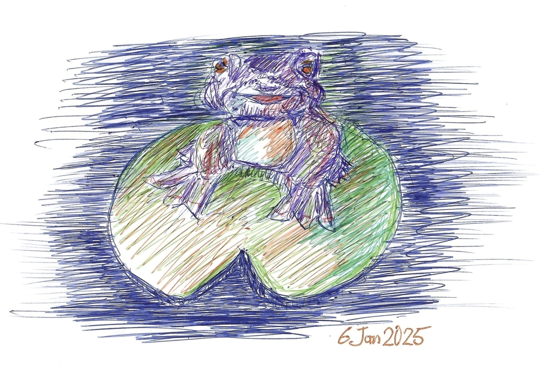 A frog is drawn sitting on a lily pad, surrounded by a blue background, with 6 Jan 2025 written at the bottom.