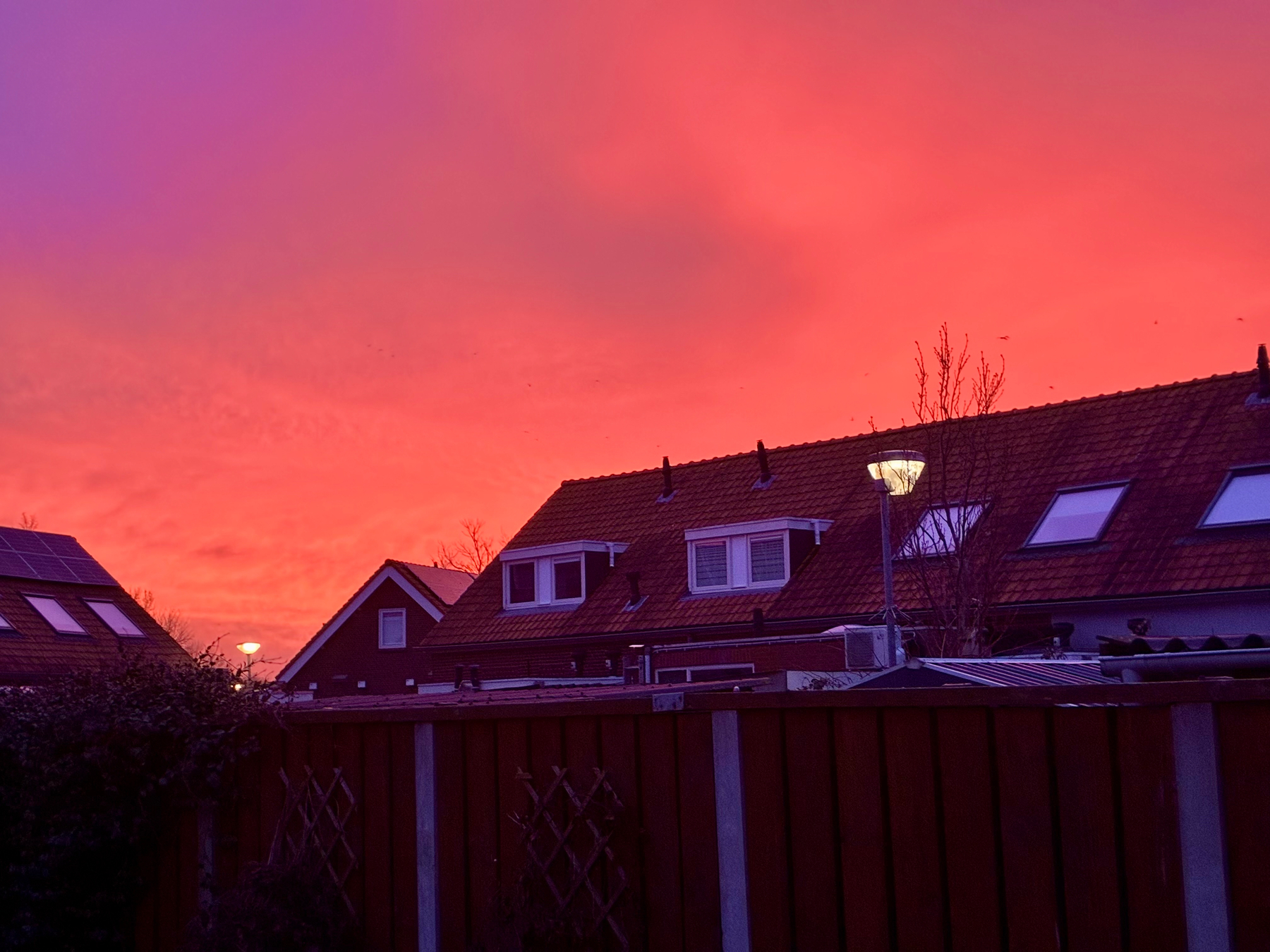 A vibrant sunset casts a pink and orange glow over a suburban neighborhood with houses and a wooden fence.