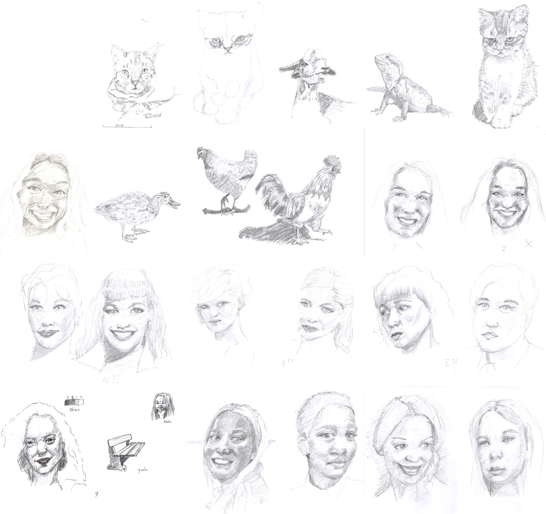 Auto-generated description: Various pencil sketches of animals, birds, and human faces are arranged in a loose grid on a white background.