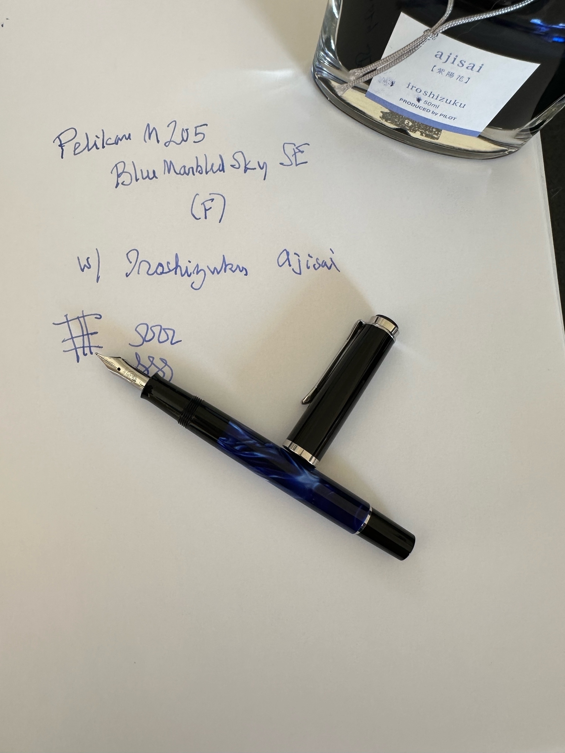 Fountain pen and ink bottle.