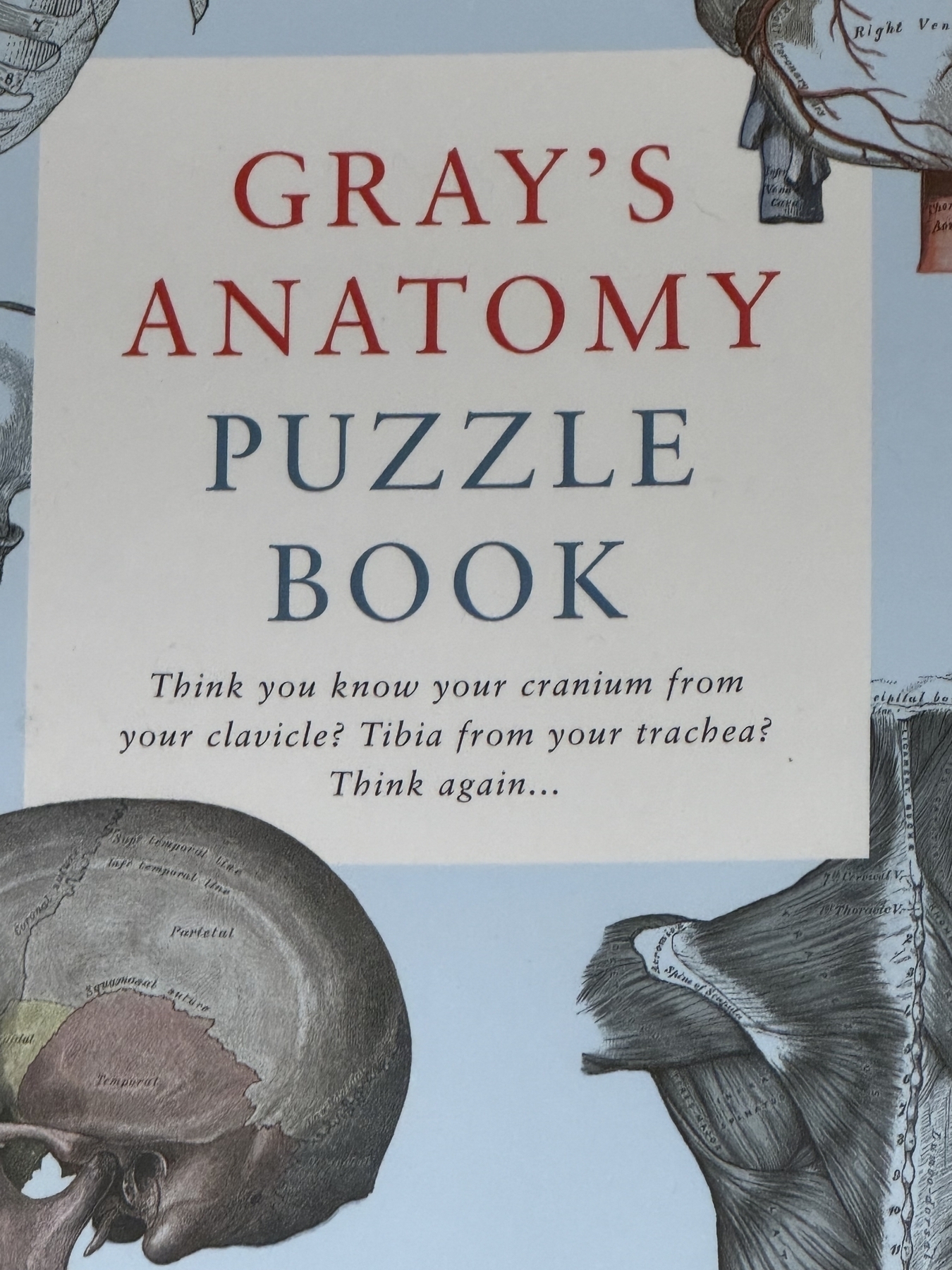 Gray’s Anatomy Puzzle Book 