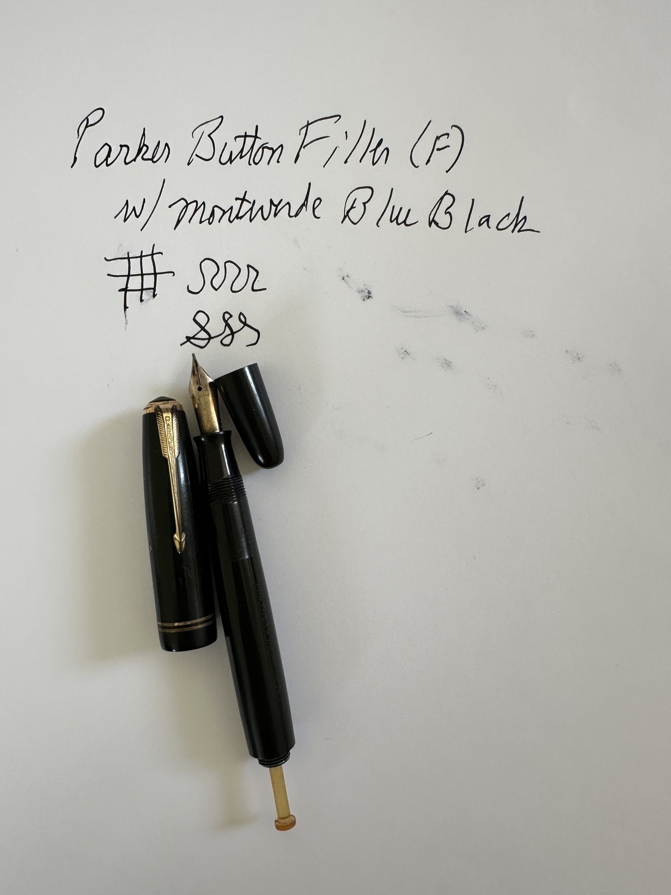 Fountain pen and ink